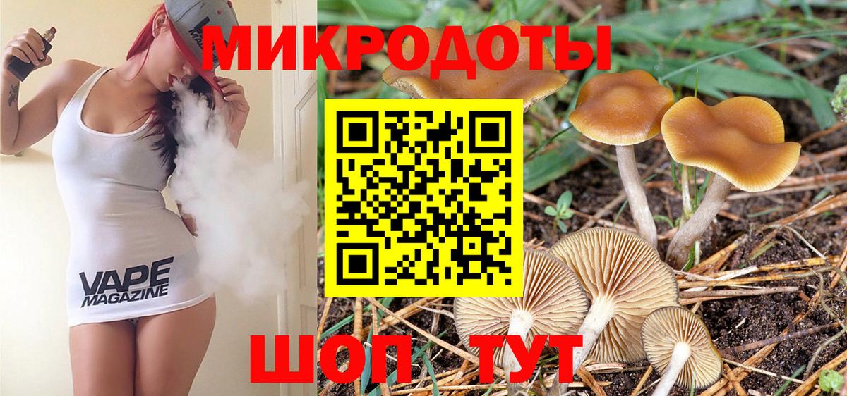 Псилоцибиновые грибы прущие грибы Ачхой-Мартан
