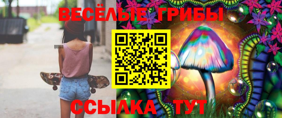 Галлюциногенные грибы GOLDEN TEACHER  Вход с VPN  Ачхой-Мартан 